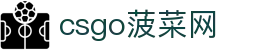 csgo菠菜网(中国区)有限公司官网